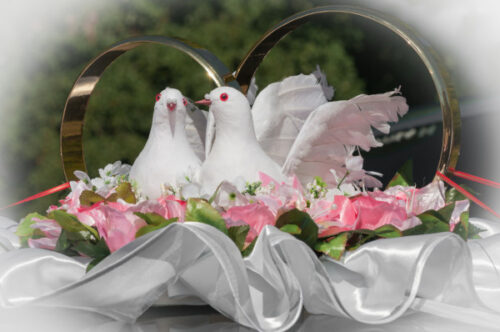 Поздравления на свадьбу сына