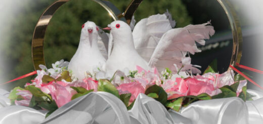 Поздравления на свадьбу сына