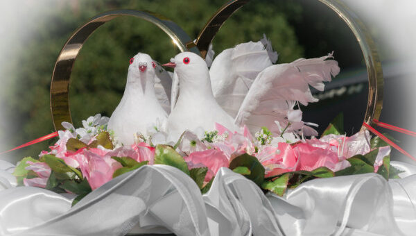 Поздравления на свадьбу сына