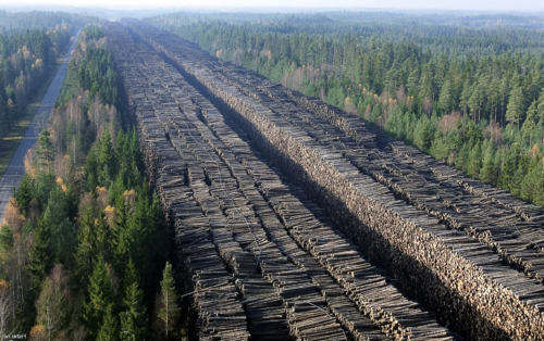 Терпеливый народ